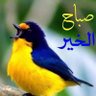 محمد الحقوي 的头像