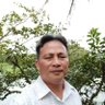 phamphungoc63@gmail.com profil fotoğrafı