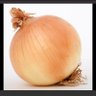 Onion 的头像