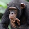 Terrano's profile picture