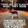 Profilbild von Rudolf de Boer