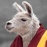 Dalai Llama profil fotoğrafı