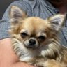 Jamela514J3Y's profile picture