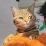 那天 profil fotoğrafı