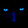 Immortal Mutiny's profile picture