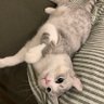 大喜 profil fotoğrafı