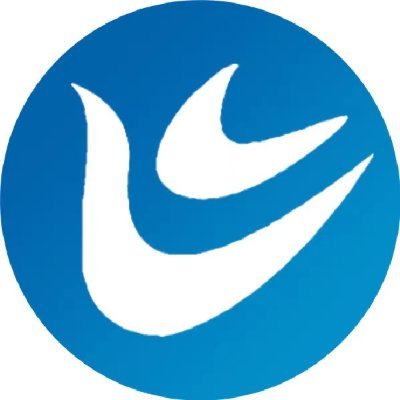 Licheng_Jinan's profile picture