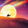 Profilbild von مؤمن أواب2