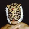 佐山聡れが's profile picture
