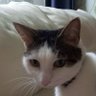 Profilbild von SNicky