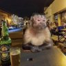 Jordy profil fotoğrafı