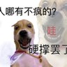 迪迦 的头像