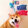 波克比's profile picture