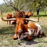 Marsha's profile picture