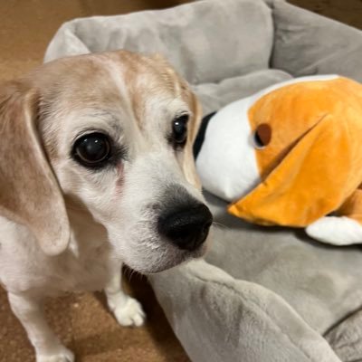 Bchan291's profile picture