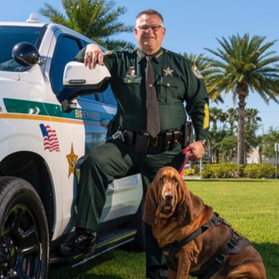 BrevardSheriff's profile picture