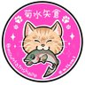 菊さん's profile picture