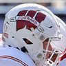 Badger fan 的头像