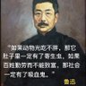 爱好和平 的头像