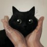 ‏.𝑠𝑢𝑛𝑠ℎ𝑖𝑛𝑒's profile picture