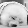 Profilbild von jeffie
