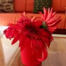 priya s profil fotoğrafı