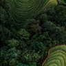 Фото профиля 小说作家/小黄文定制。