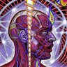 THCMoonMan's profile picture