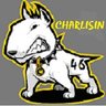 Фото профиля charlisin46