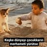 Mehmet Hintoğlu 的头像