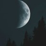Andreas's profile picture