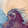 Joseph's profile picture