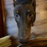 Dave's profile picture