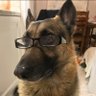 Dig For Good's profile picture