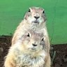 Profilbild von 山田と太郎