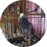 Sally profil fotoğrafı