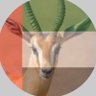 Profilbild von 🦌