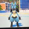 Y_Set 的头像
