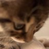 Xizhi's profile picture