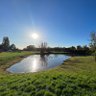 Фото профиля Ingoldisthorpe Duckpond