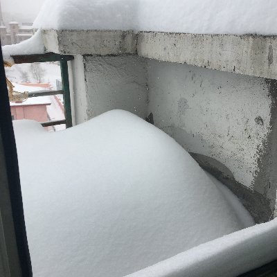 星雨(扫楼)'s profile picture