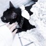 ✿ さ な ち ゃ ぴ ✿'s profile picture