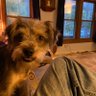 Profilbild von Bob