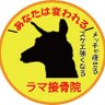 Фото профиля ラマ王国放送「ラマのプロジェクトドリーム」代表 おれたちのラマさん