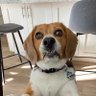 . profil fotoğrafı