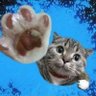 Slg profil fotoğrafı