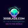 305blaze.com 的头像
