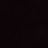 rex's profile picture