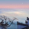 Profilbild von Shenxian