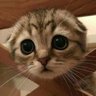 Николай's profile picture